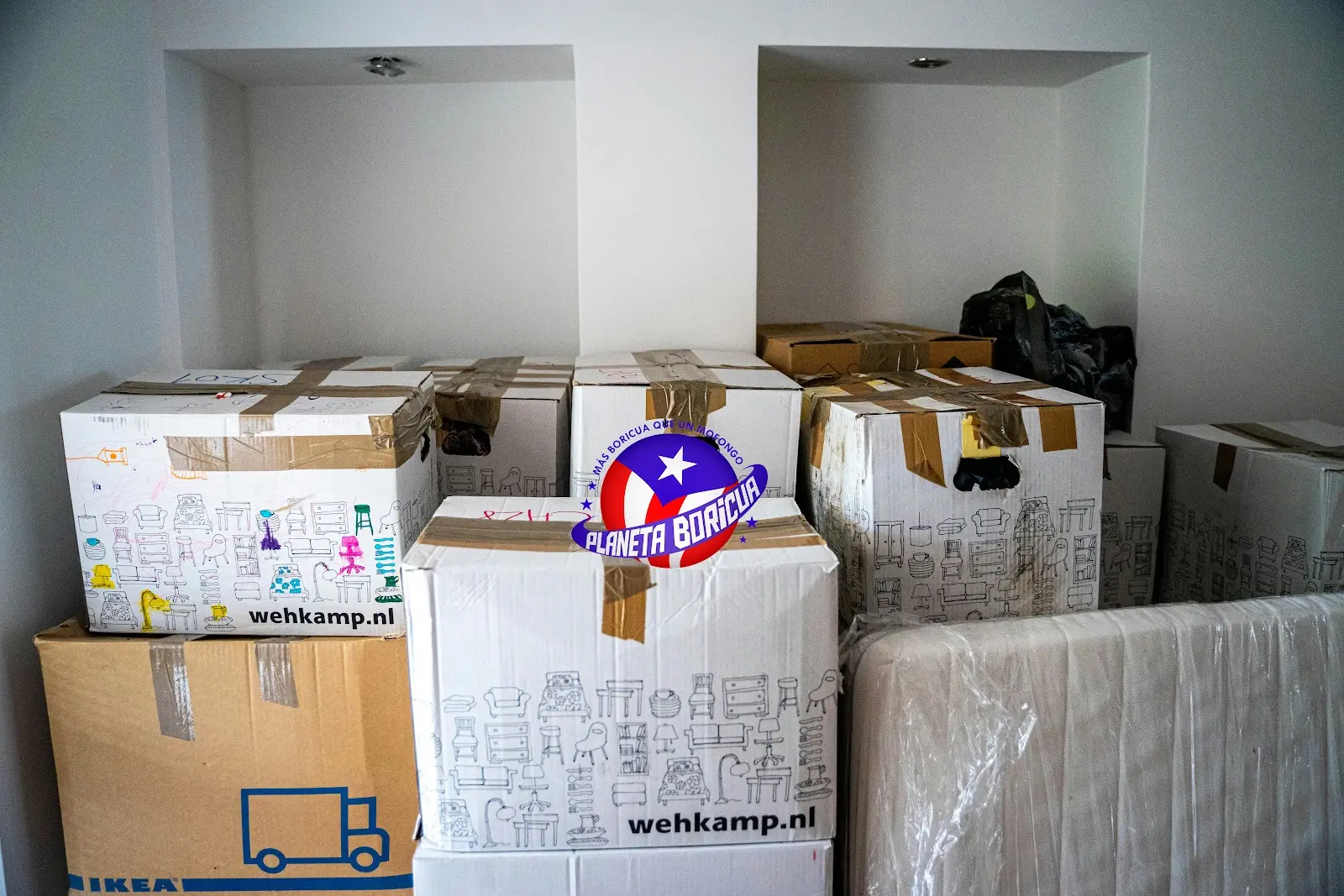 Guía Completa para Mudarse de Puerto Rico a Florida: Licencia, Crédito y Primeros Pasos
