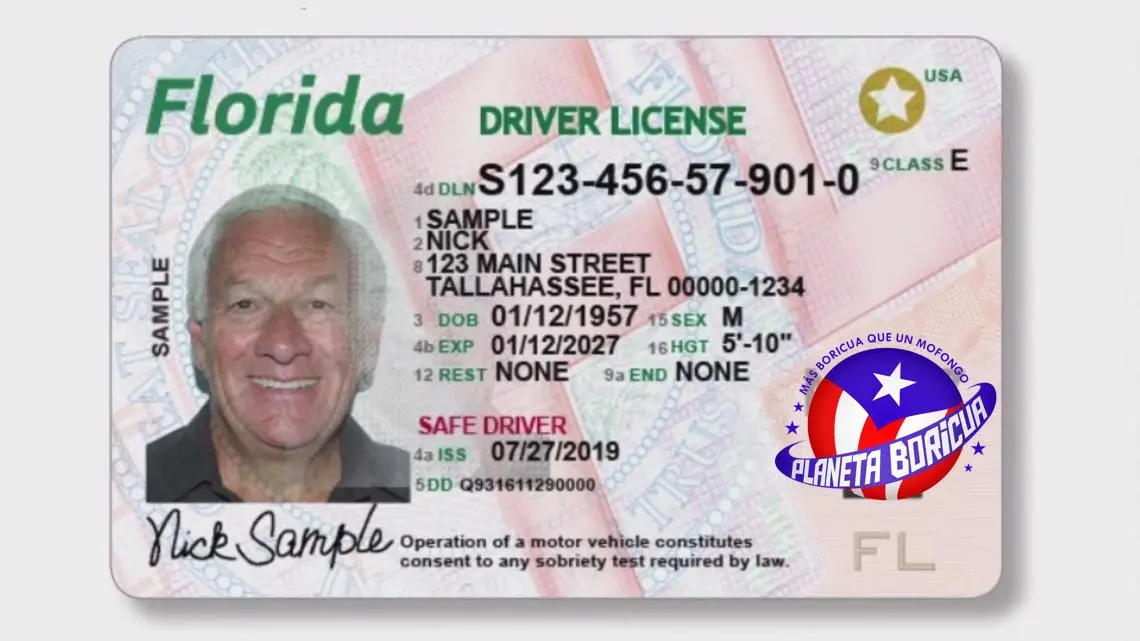 Licencia de conducir en Florida: Guía para no morir en el intento